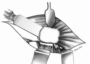 fig8